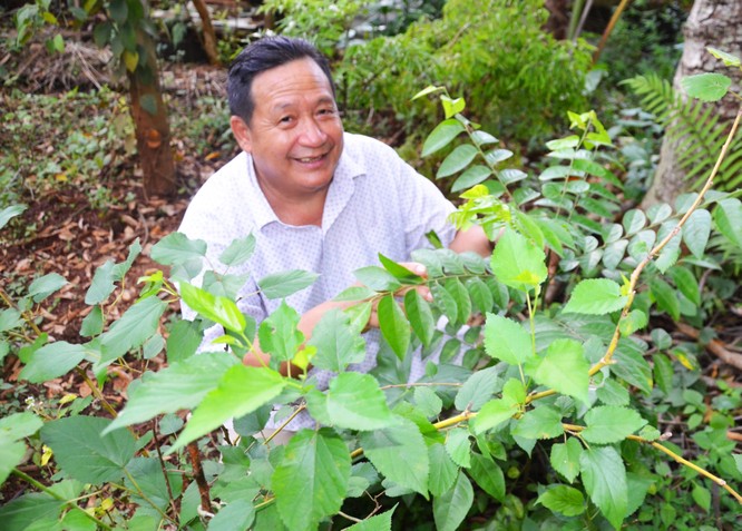 Khăm Phết Lào, con trai vua voi Amakong: Độc đáo chàng doanh nhân thầy thuốc 'đặc sản Tây Nguyên' ảnh 1